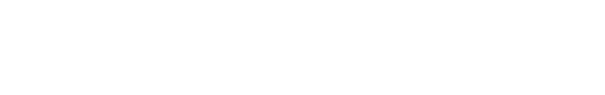 leader company logo