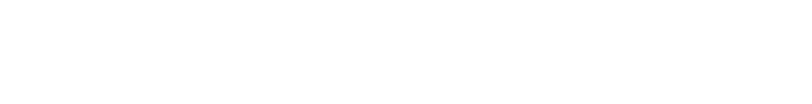 leader company logo