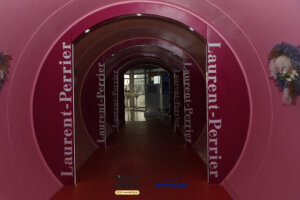 primary carousal image 7