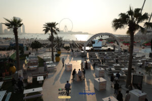 primary carousal image 6